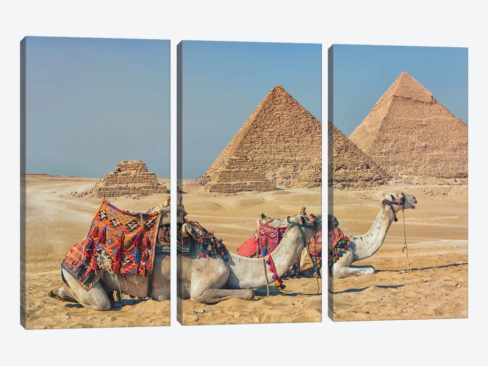 Camels In Egypt by Manjik Pictures 3-piece Art Print