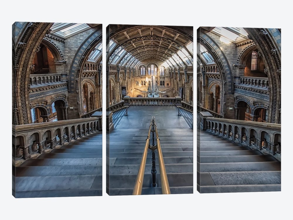Natural History Museum by Manjik Pictures 3-piece Canvas Print