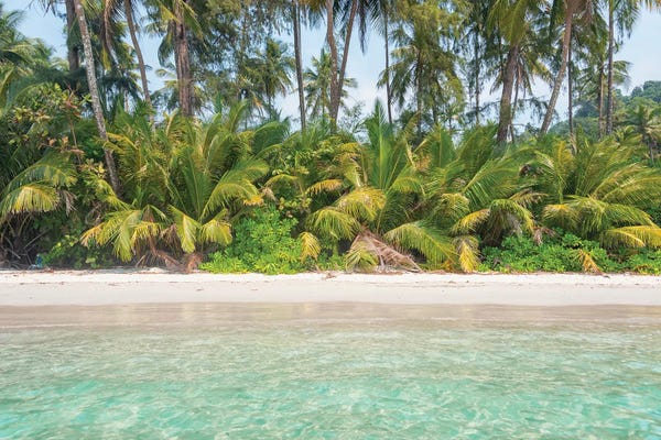 Tropical Beaches: Seashore by Manjik Pictures