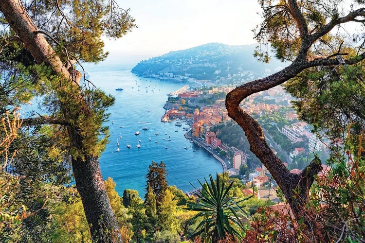 Wild French Riviera by Manjik Pictures wall art
