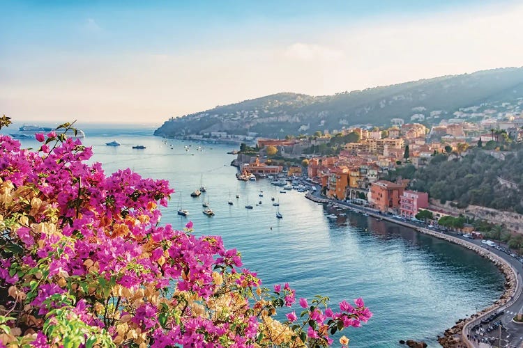 Floral French Riviera by Manjik Pictures wall art