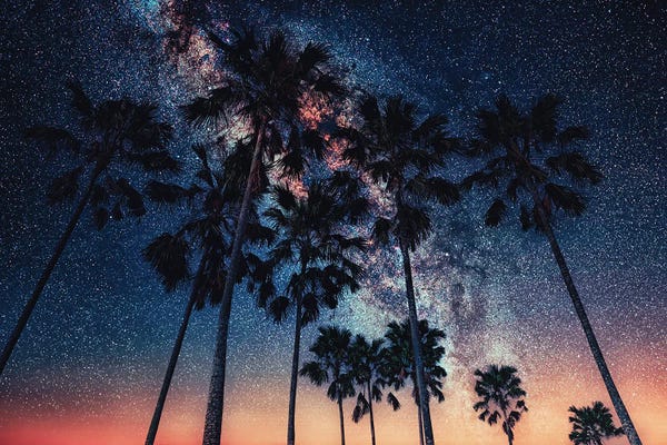 Tropical Dusk