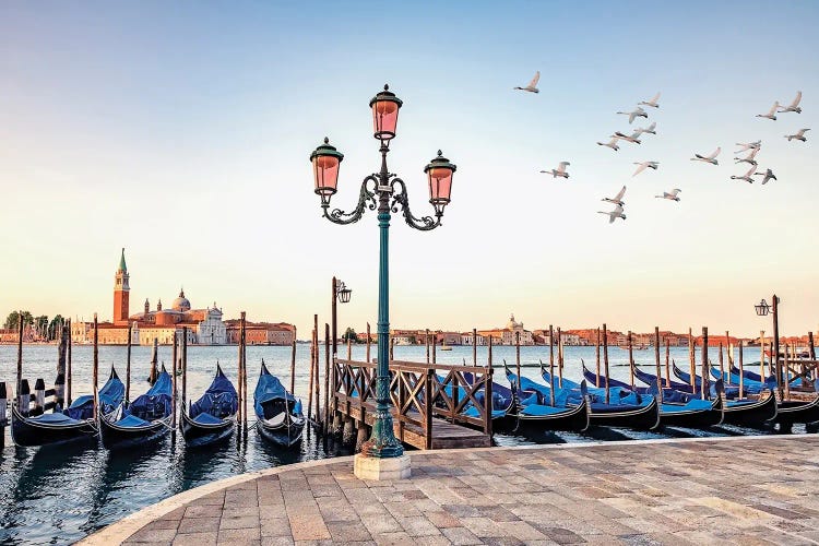 Birds Flight by Manjik Pictures wall art