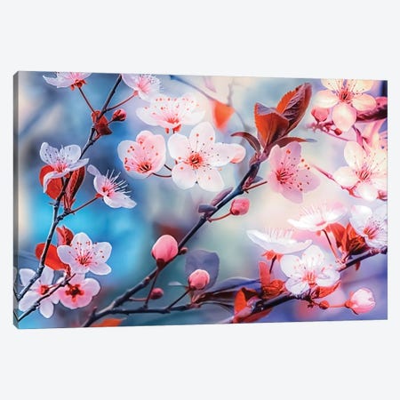 Sakura Canvas Print #EMN254} by Manjik Pictures Canvas Wall Art