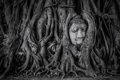 Embraced With Time by Manjik Pictures canvas print