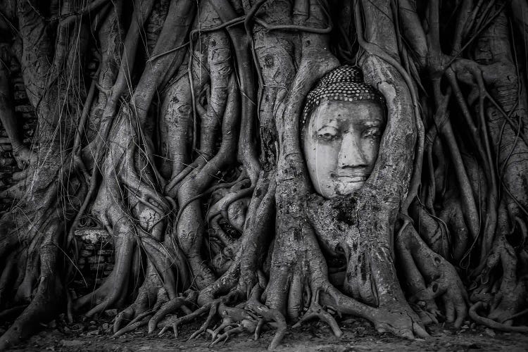 Embraced With Time by Manjik Pictures wall art
