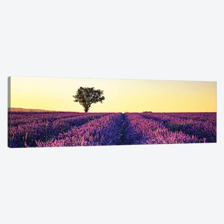 Sunset In Provence Canvas Print #EMN300} by Manjik Pictures Canvas Art Print
