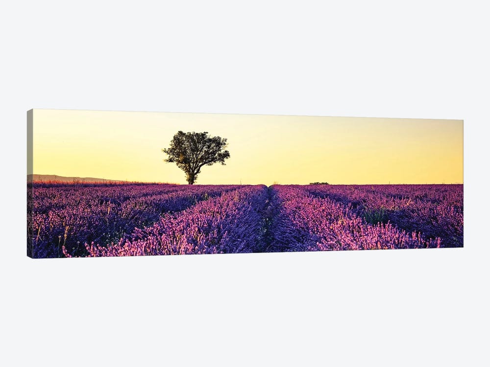 Sunset In Provence by Manjik Pictures 1-piece Canvas Print