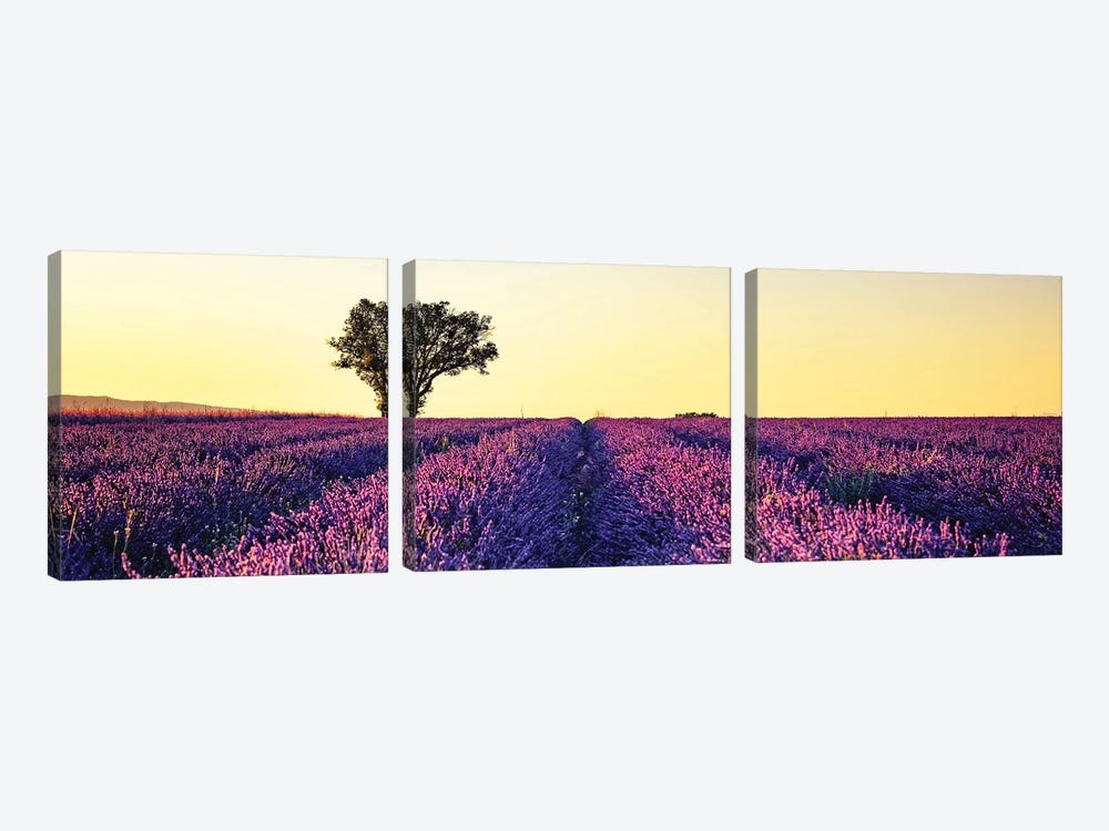Sunset In Provence by Manjik Pictures 3-piece Art Print