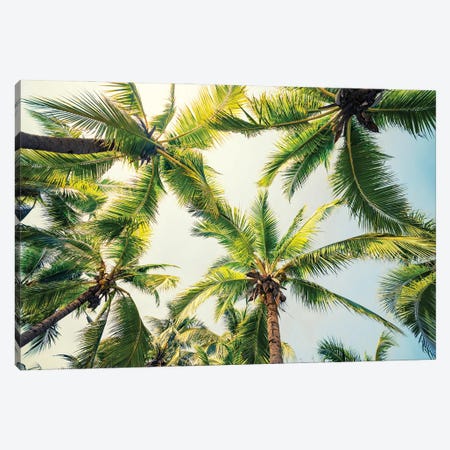 Tropical Vibe Canvas Print #EMN322} by Manjik Pictures Canvas Print