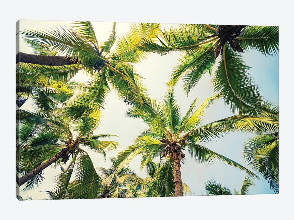 Tropical Vibe by Manjik Pictures 1-piece Canvas Art Print