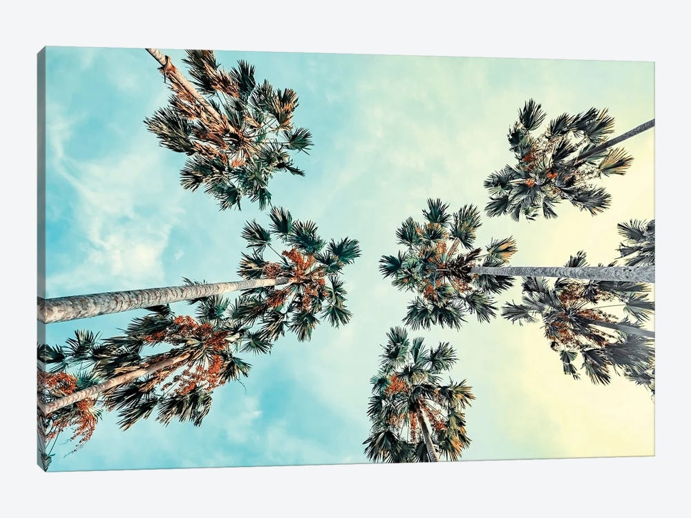 Palm Trees by Manjik Pictures 1-piece Canvas Art