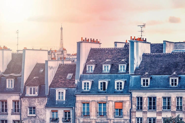 Paris Roofs