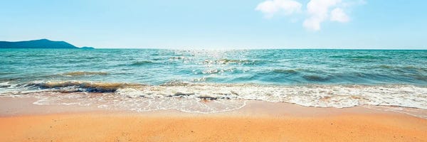 Sunny Day
