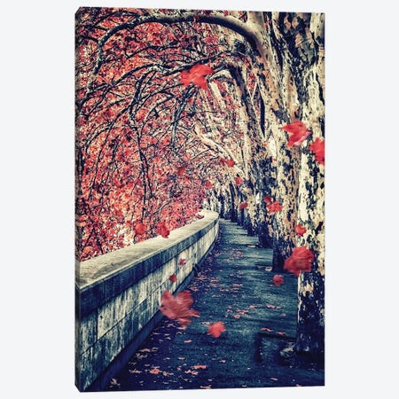 Falling Leaves Canvas Print #EMN35} by Manjik Pictures Canvas Artwork