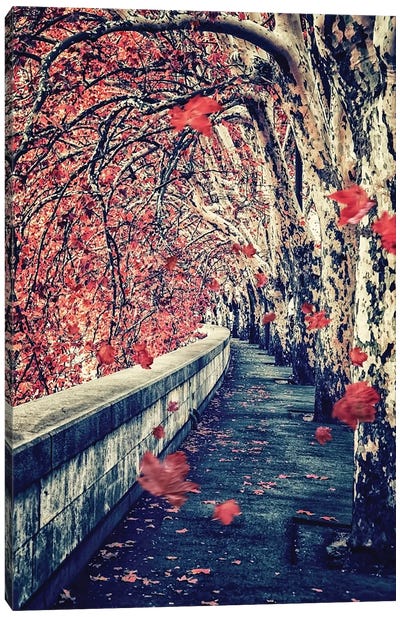 Falling Leaves Canvas Art Print - Manjik Pictures