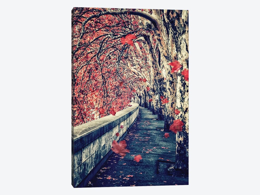 Falling Leaves by Manjik Pictures 1-piece Canvas Artwork