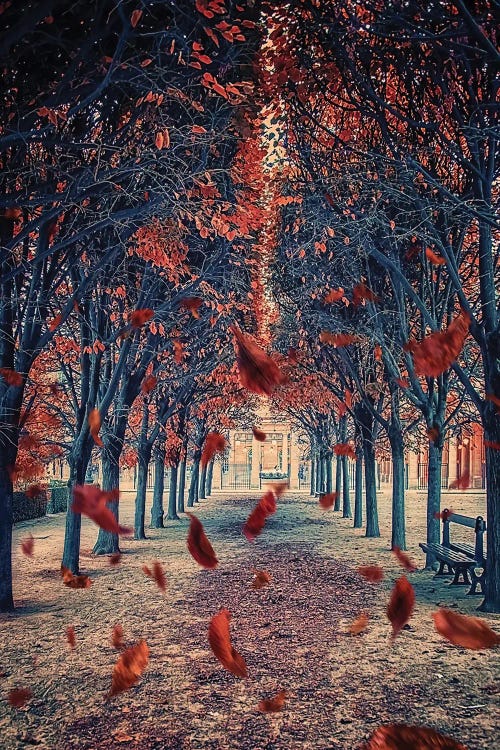 Palais-Royal Garden by Manjik Pictures wall art