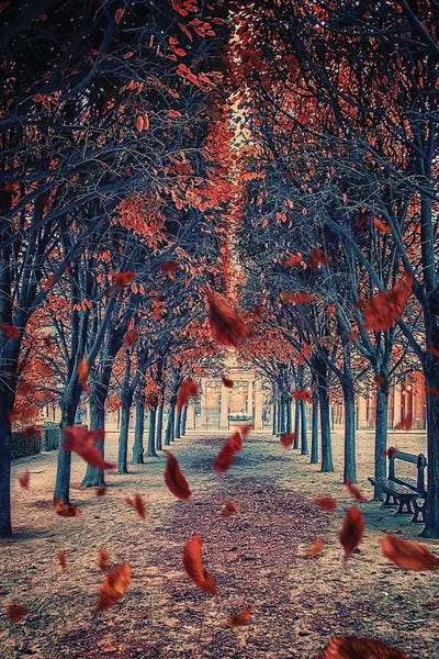 Nature Lover: Palais-Royal Garden by Manjik Pictures