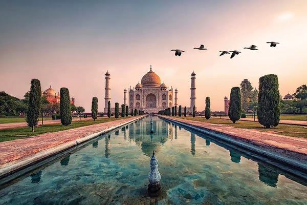 Taj Mahal: Good Morning Agra by Manjik Pictures