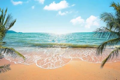 Holiday by Manjik Pictures canvas print