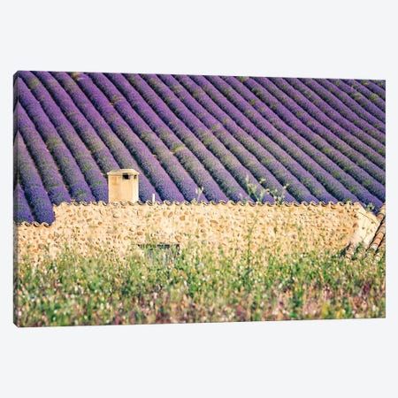 The House In The Lavenders Canvas Print #EMN518} by Manjik Pictures Canvas Artwork