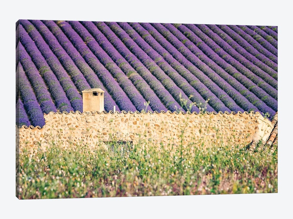 The House In The Lavenders by Manjik Pictures 1-piece Canvas Artwork