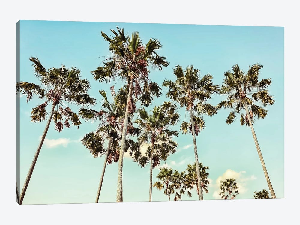 California by Manjik Pictures 1-piece Canvas Art Print
