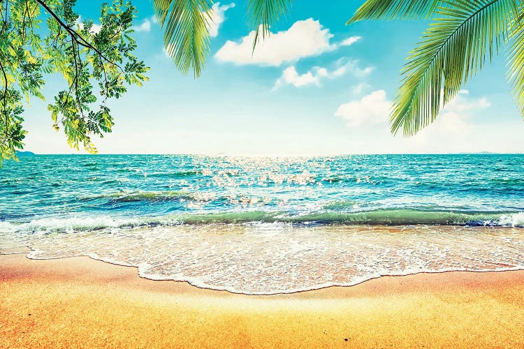 Tropical Beach