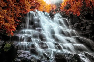 Into The Forest by Manjik Pictures canvas print