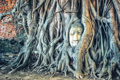 Wat Maha That by Manjik Pictures canvas print