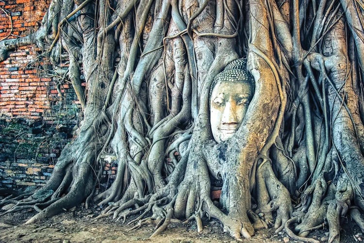 Wat Maha That by Manjik Pictures wall art