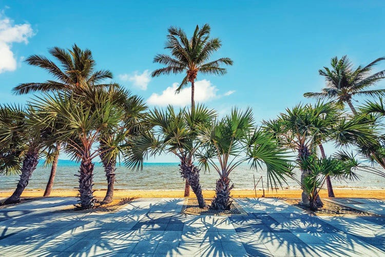Palm Trees By The Sea