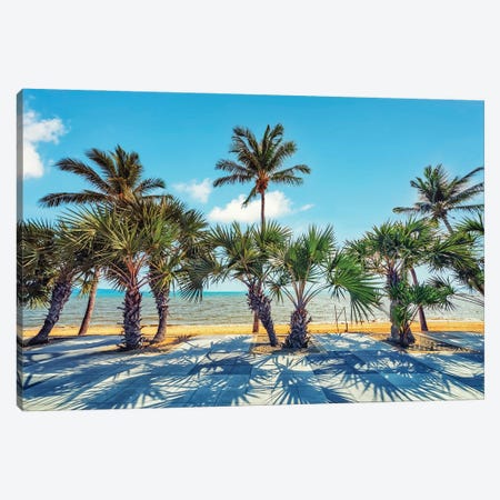 Palm Trees By The Sea Canvas Print #EMN569} by Manjik Pictures Art Print