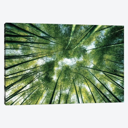 Bamboo World Canvas Print #EMN610} by Manjik Pictures Canvas Art Print