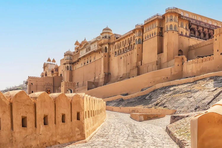 Fort In Jaipur by Manjik Pictures wall art