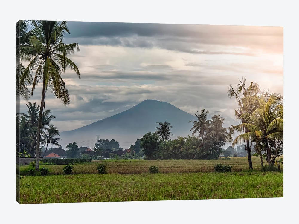 Bali Sunset by Manjik Pictures 1-piece Art Print