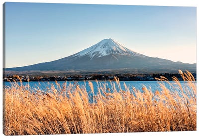 Mt Fuji Canvas Art Print - Manjik Pictures