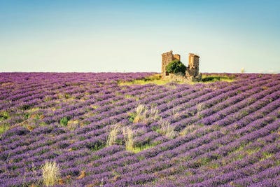 The Ruin In The Lavender by Manjik Pictures canvas print