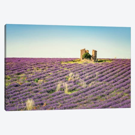 The Ruin In The Lavender Canvas Print #EMN658} by Manjik Pictures Canvas Print