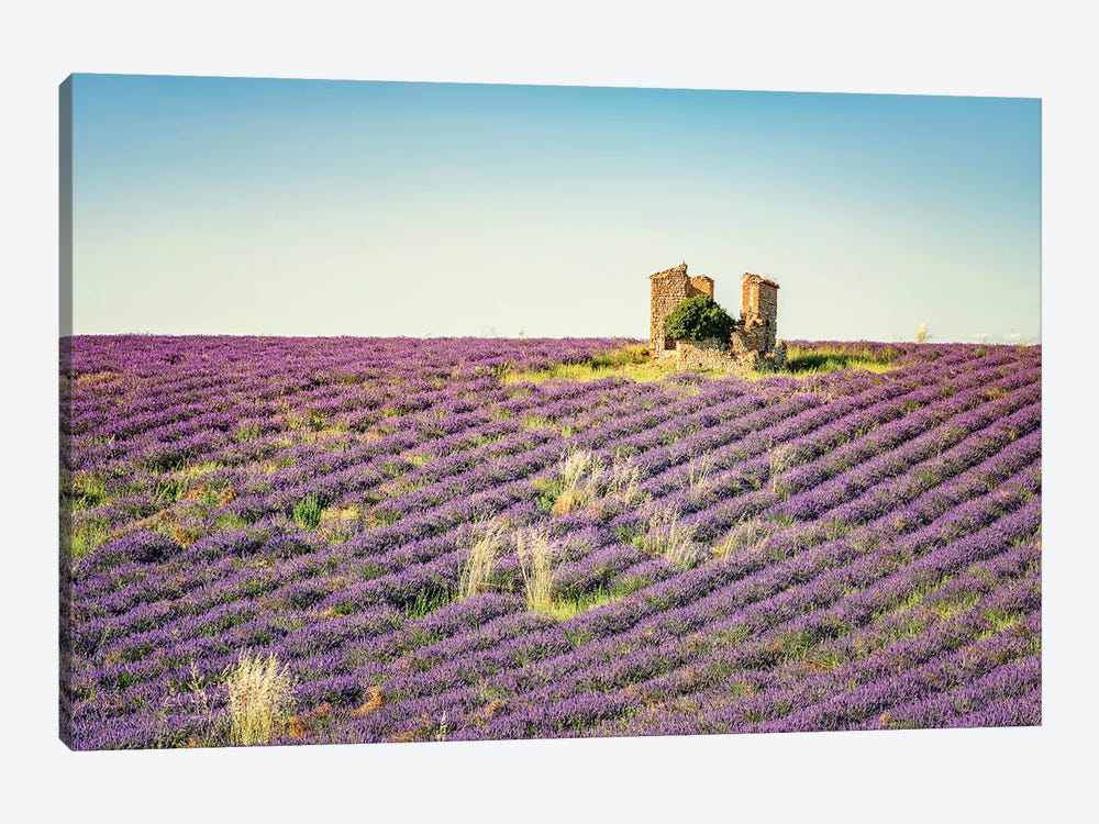 The Ruin In The Lavender by Manjik Pictures 1-piece Canvas Wall Art
