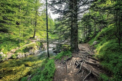 Le Boreon by Manjik Pictures canvas print