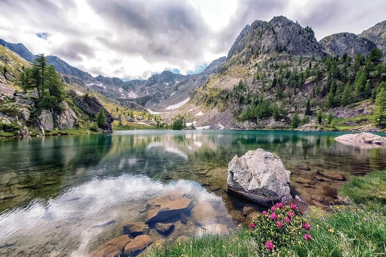 Trecolpas by Manjik Pictures wall art