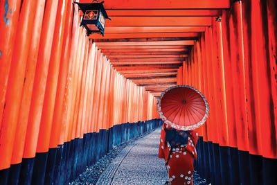 Life In Red by Manjik Pictures canvas print