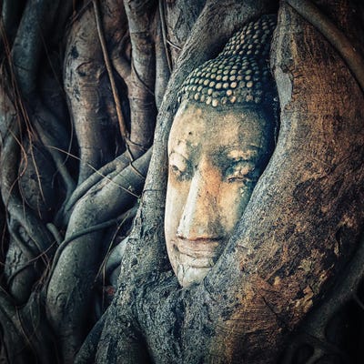 Buddha Face by Manjik Pictures art print
