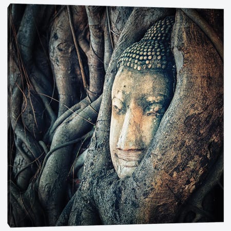Buddha Face Canvas Print #EMN694} by Manjik Pictures Canvas Art