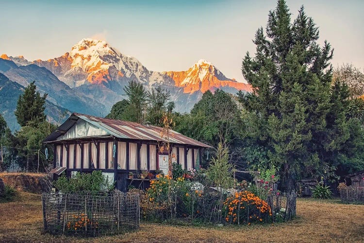 Little Paradise by Manjik Pictures wall art