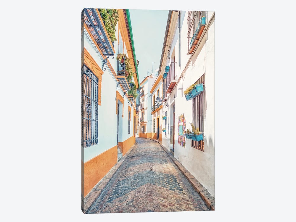 Cordoba Street by Manjik Pictures 1-piece Canvas Print