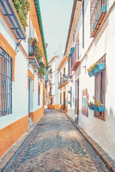 Andalusia: Cordoba Street by Manjik Pictures