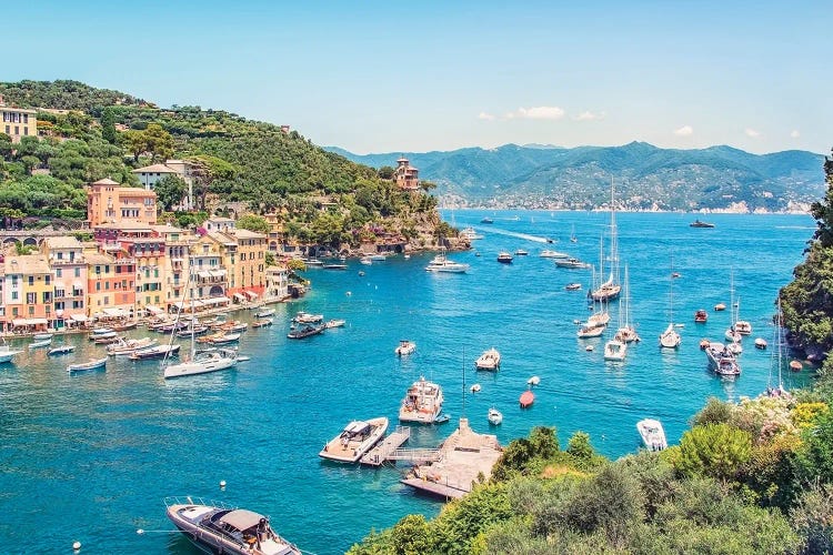 Portofino Landscape by Manjik Pictures wall art